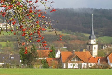 Batı Avrupa'da Köyü