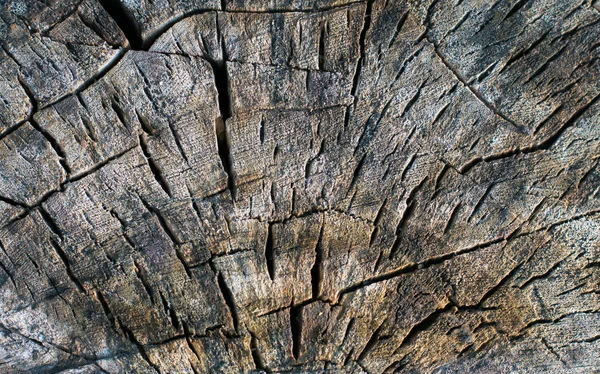 Texture en bois fissurée — Photo