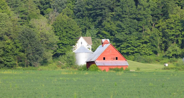 Rote Scheune inmitten von Maisfeldern — Stockfoto