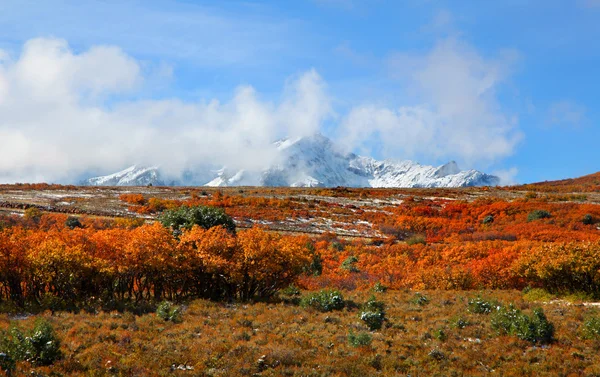 Divisione continentale vicino a Ridgeway Colorado — Foto Stock