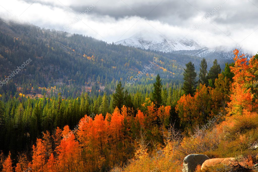 Sierra Nevada mountains fall foliage