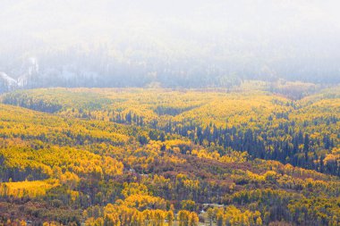 Valley adlı Colorado Kebler geçişte