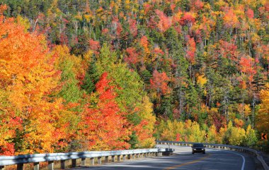 Doğal Kancamagus yüksek yol beyaz dağ Ulusal orman içinden geçer