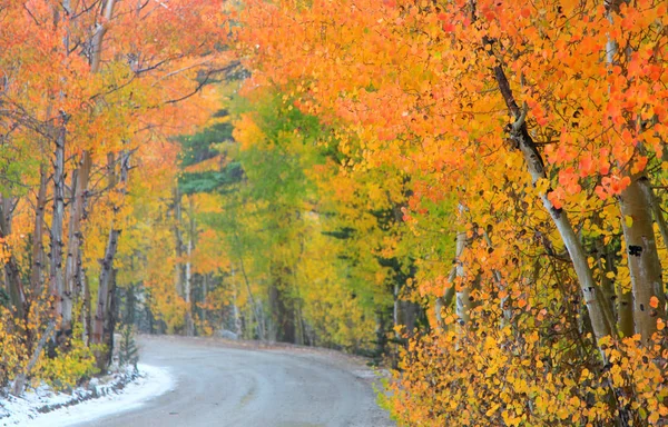 Árboles de otoño en el camino al lago Norte en California — Foto de Stock