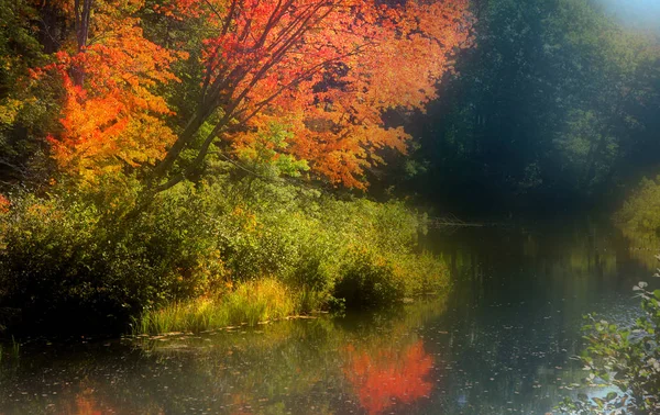 Lindo lago de outono em Vermont — Fotografia de Stock
