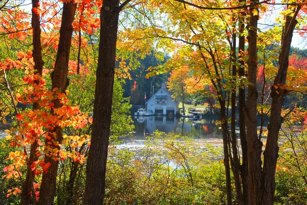 Herfst bladeren door kleine Squam lake in New Hampshire — Stockfoto