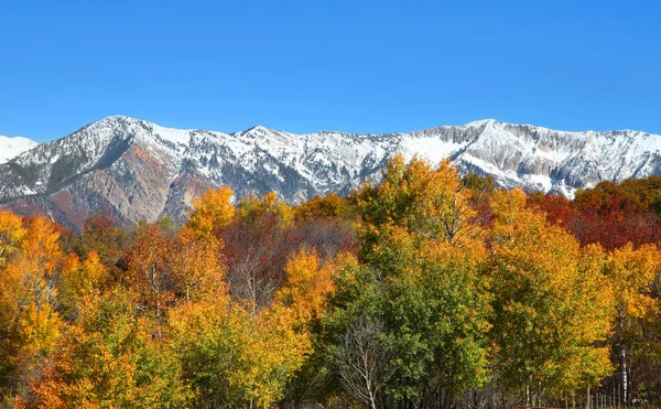 Schneebedecktes Colorado felsige Berge im Herbst — Stockfoto