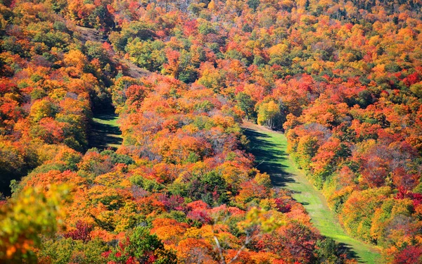 Fall gebladerte op Mount Mansfield in de buurt van Stowe in Vermont. — Stockfoto