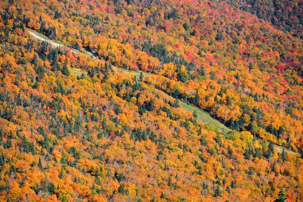 Mont Mansfield avec verrière d'arbres d'automne — Photo
