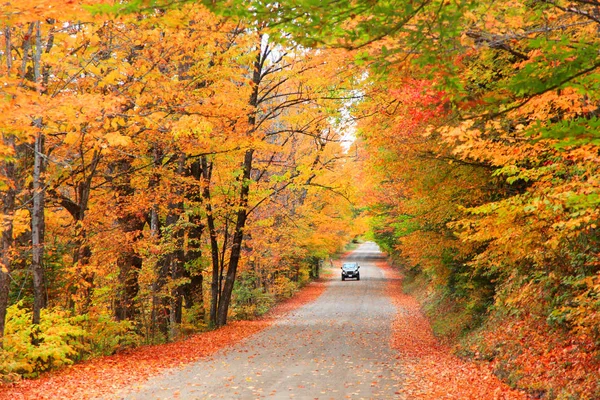 Höstens drive i New Hampshire — Stockfoto