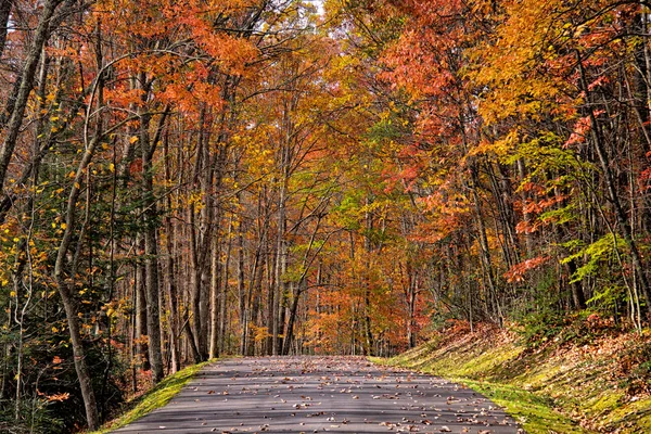 Autumn drive in West virginia babcock — Stock Photo, Image