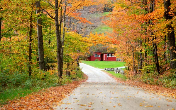 Malerische Allee in Vermont — Stockfoto