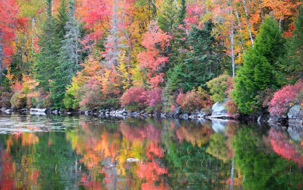 New england autumn tree reflections — Stock Photo, Image