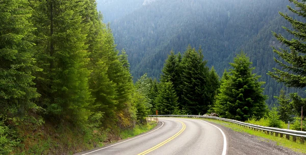 Schilderachtige rijden door Mount Rainier national park — Stockfoto