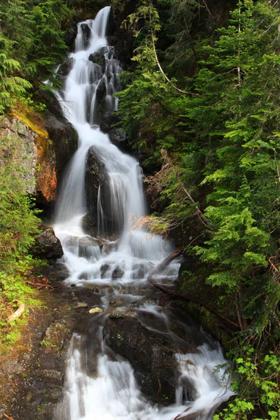 Water falls from Glaciers in Mount Rainier national park — Stock Photo, Image