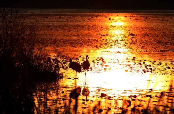 Puesta de sol sobre el lago Michigan — Foto de Stock