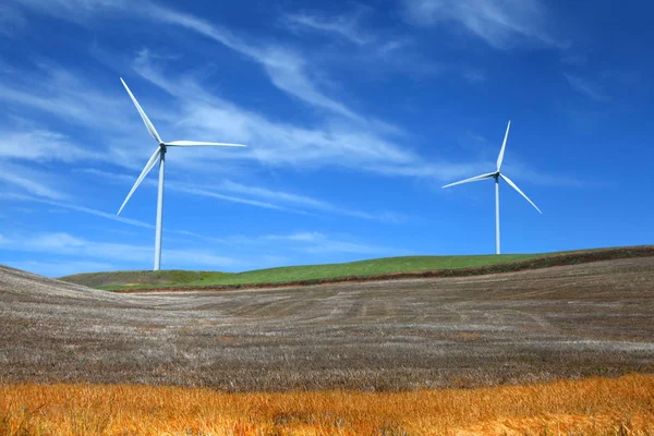 Zwei Windmühlen inmitten von Weizenfeldern — Stockfoto