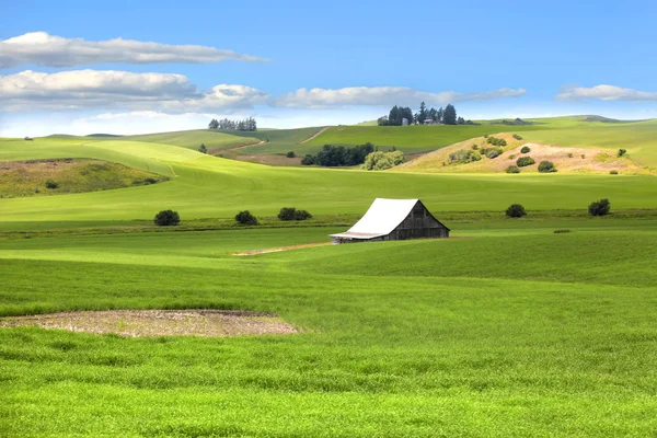 Celeiro no meio de colinas de campos de trigo — Fotografia de Stock