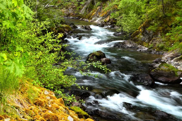 Air mengalir di Taman Nasional Gunung Rainier — Stok Foto