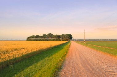 Çiftlik manzara panoramik manzaralı