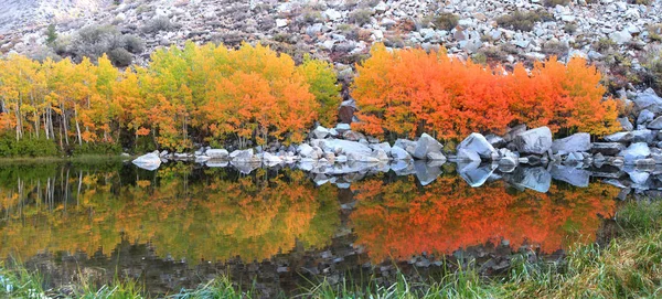 湖中的明亮秋树倒影 — 图库照片
