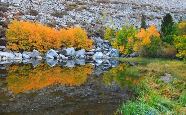 Herbst Bäume Spiegelungen im See — Stockfoto