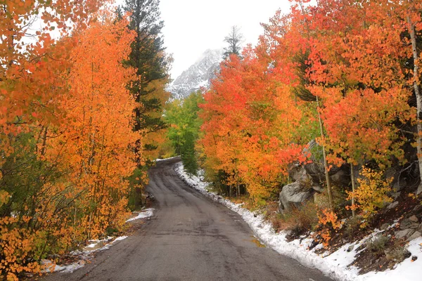 Schilderachtige herfst rijden in Sierra Nevada — Stockfoto