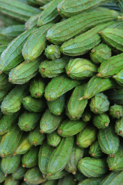 Many Ridge gourds famous vegetables in India — Stock Photo, Image