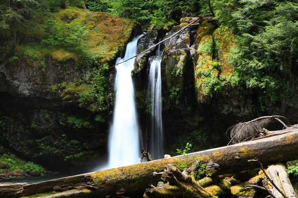 Les chutes d'eau du Mont Rainier — Photo