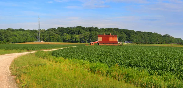 Boerderij en oude schuur — Stockfoto