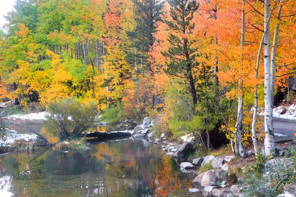 Hermoso paisaje de otoño — Foto de Stock