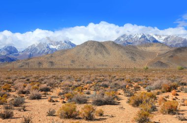 Doğu sierra Dağları