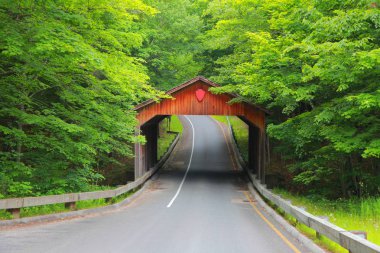 Kapalı köprü Michigan