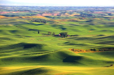 Rolling hills from Steptoe butte in Washington state clipart
