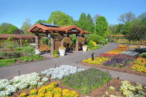 Saint Louis botanical gardens — Stock Photo, Image
