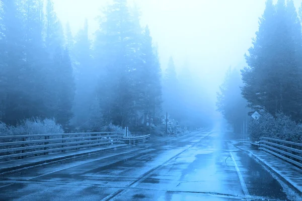 Brouillard matinal sur route rurale — Photo