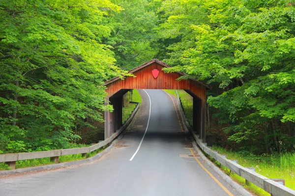 Overdekte brug in Michigan — Stockfoto