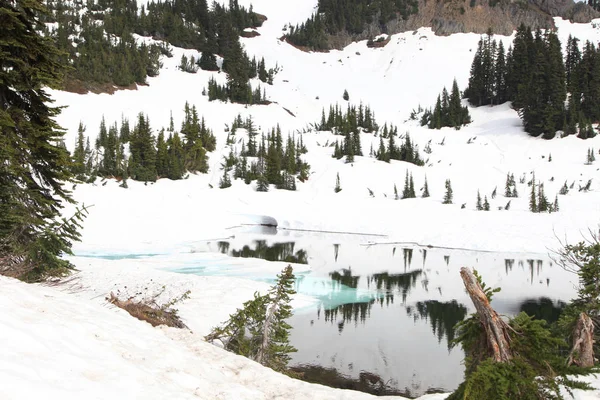 Mountain lake in snow — Stock Photo, Image