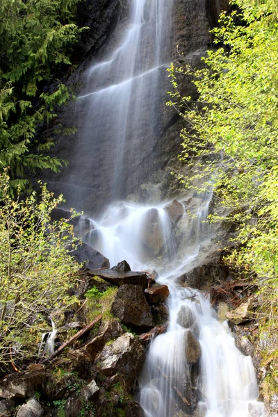 Water valt in Mount Rainier national park — Stockfoto