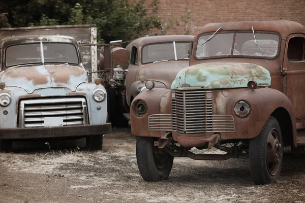 Viejos camiones oxidados abandonados en el patio —  Fotos de Stock