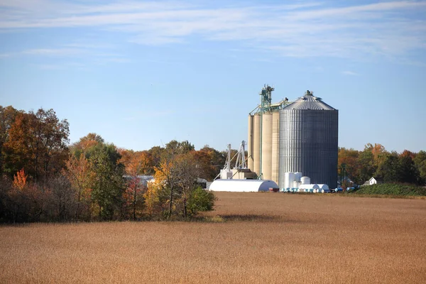 Hohe Silos auf dem Hof während der Erntezeit — Stockfoto