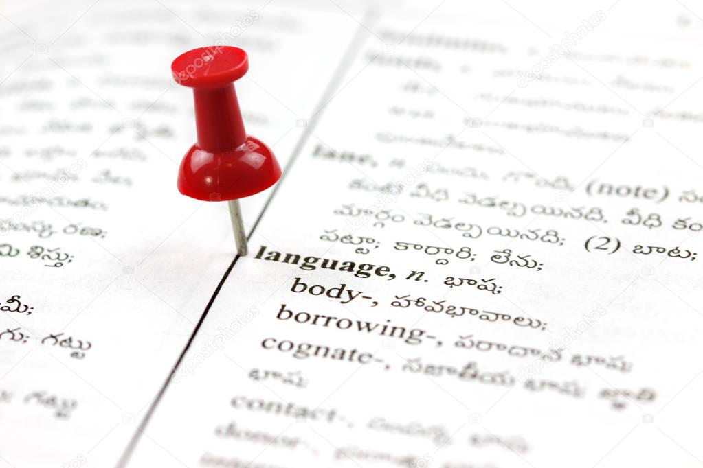 Language word and its translation to Telugu language, marked with red push pin