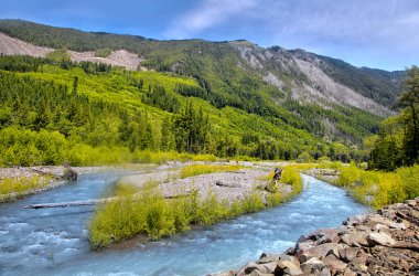 Mount Rainier Washington yakınındaki beyaz nehir manzara