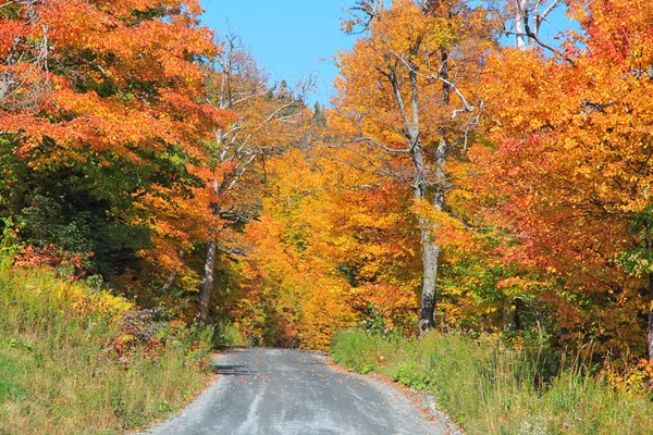 开车穿过农村佛蒙特州在秋天的落叶 — 图库照片
