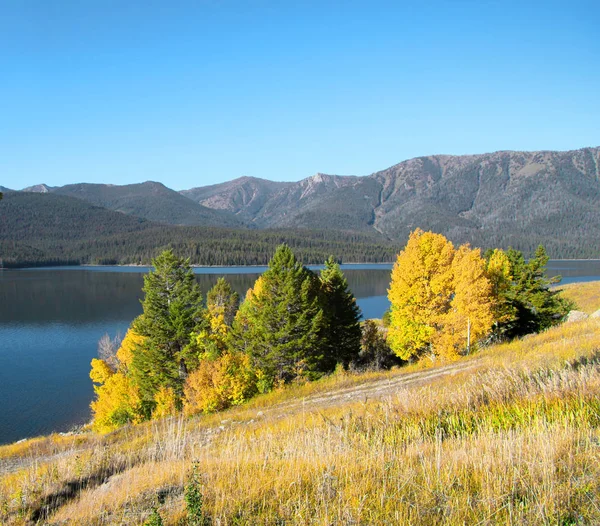 Fall listí ve venkovských Colorado — Stock fotografie