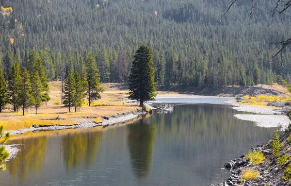 Yellowstone Ulusal Parkı içinde yılan nehir manzara — Stok fotoğraf