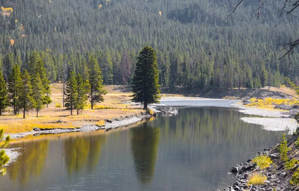 Ποταμός φιδιών τοπίο στο εθνικό πάρκο Yellowstone — Φωτογραφία Αρχείου