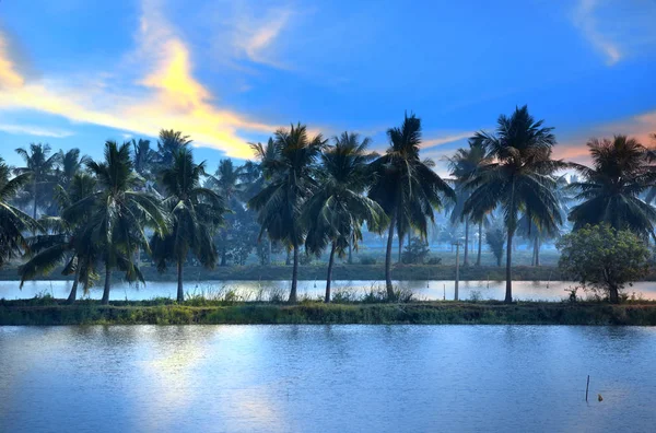 Coconut trees and reflection in southern India state Andhra pradesh — Stock Photo, Image
