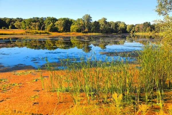 Λίμνη και marsh Κτηματολογίου στις αγροτικές Μίτσιγκαν — Φωτογραφία Αρχείου
