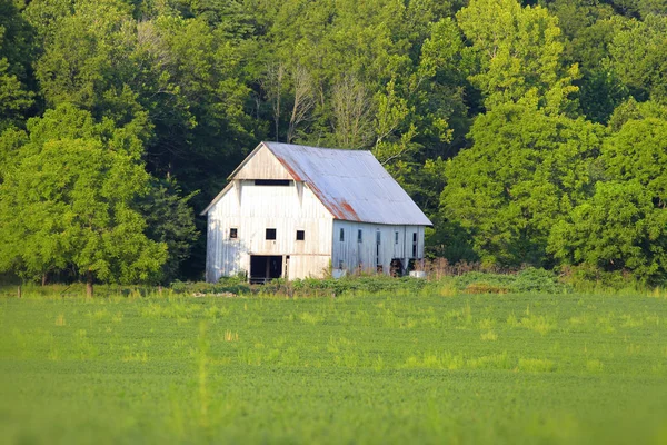Celeiro branco na hora de verão em Indiana rural — Fotografia de Stock